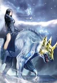 我的美女董事长